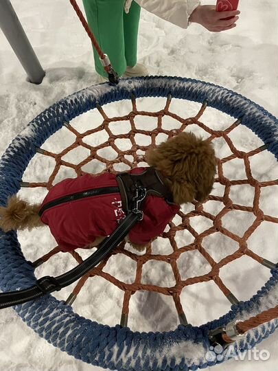 Комбинезон для собак