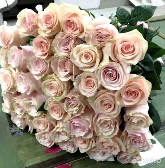 Букет роз. Розы 51 шт
