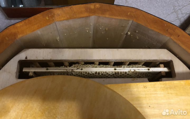 Медогонка деревянная 3 рамочная