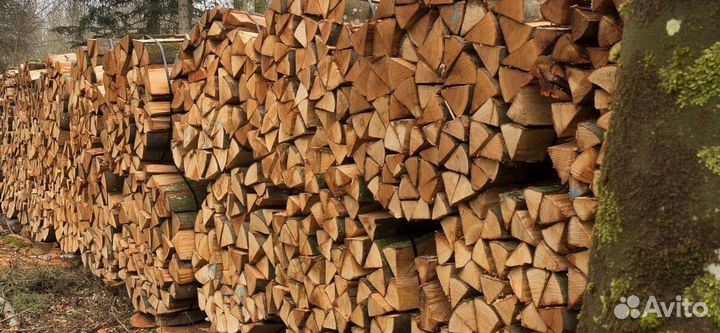 Дрова осина ольха береза