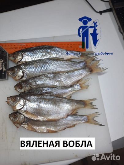 Икра воблы вяленая Астраханская