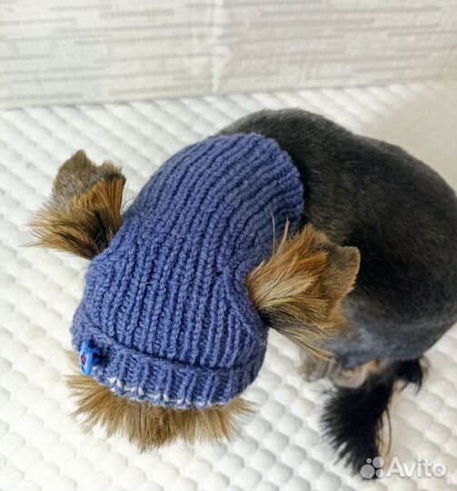 Шапочки для маленьких собак