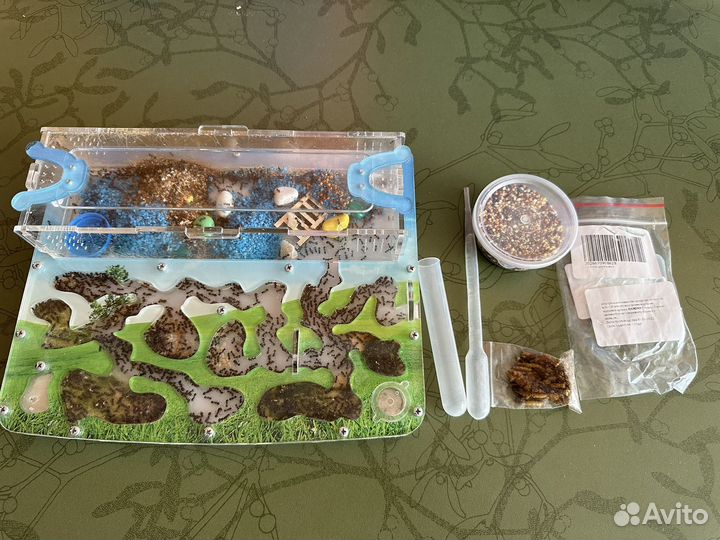 Муравьиная ферма комплект+антипобег