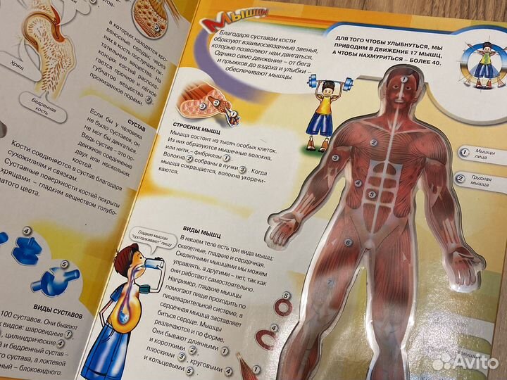 Книги и энциклопедии для детей