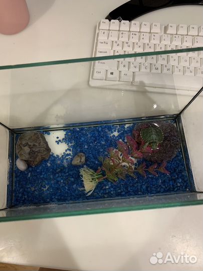 Аквариум 7 литров