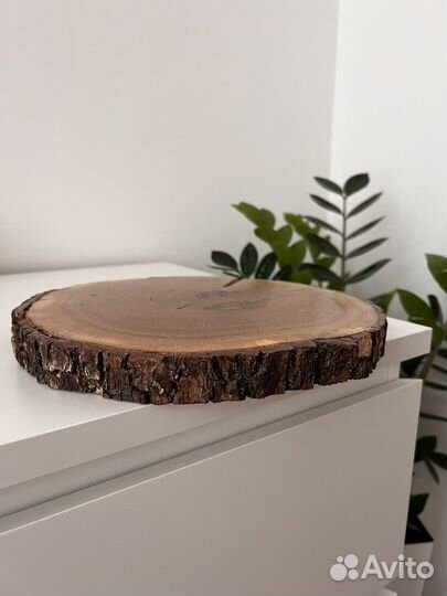 Торцевой спил дерева