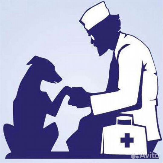 Усыпить Собаку, Кошку. Кремация животных