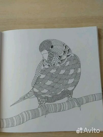 Раскраска антистресс 