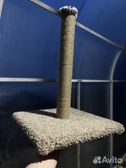 Когтеточка 