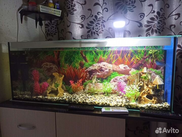 Аквариум 98л