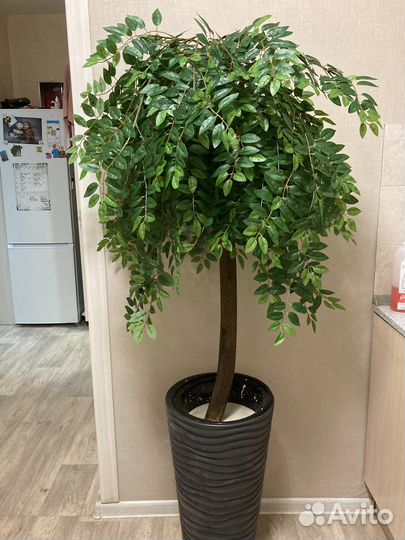 Дерево глицинии искусственное