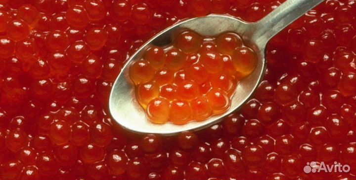 Икра красная 2023 (Кета, Нерка, Кижуч) Камчатка