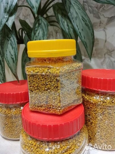 Пыльца пчелиная 2023. Мёд