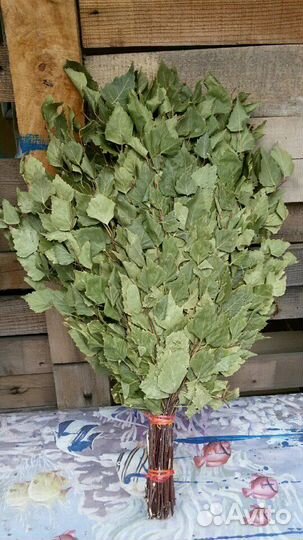 Веники, берёза, липа, вишня,дуб