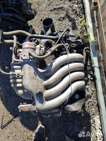 Двигатель Volkswagen Golf 4 AQY