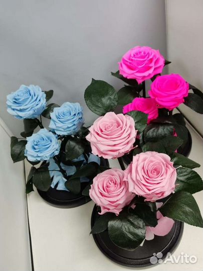 Роза в колбе оптом