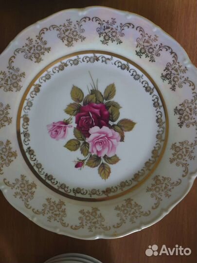 Фредерика роза Carlsbad