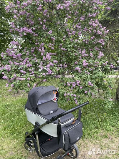 Коляска adamex 3 в 1