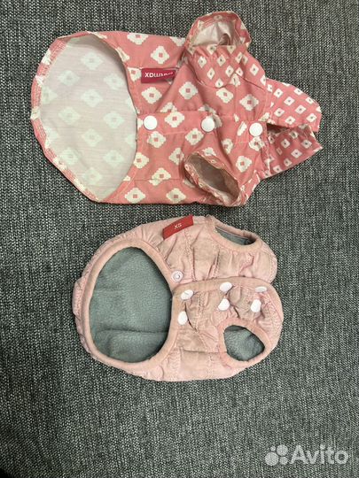 Одежда для животных