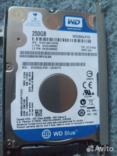 Жёсткий диск