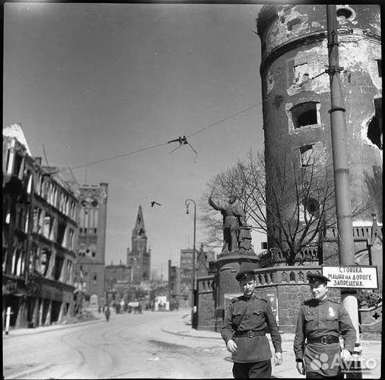 Архив-коллекция 4000 фото Кенигсберг Калининград