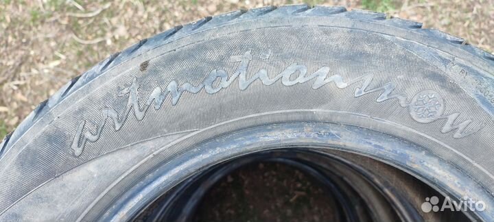 Белшина Artmotion Snow Бел-337 195/65 R15