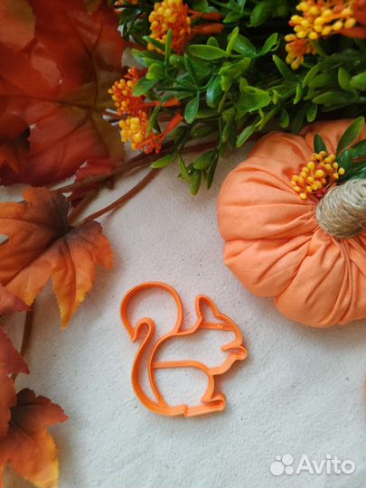 Форма для печенья и пряников