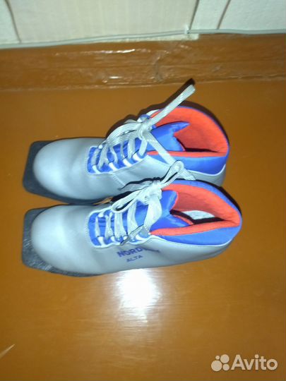 Лыжные ботинки