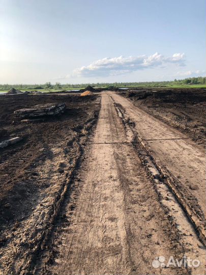 Почва, почвогрунт