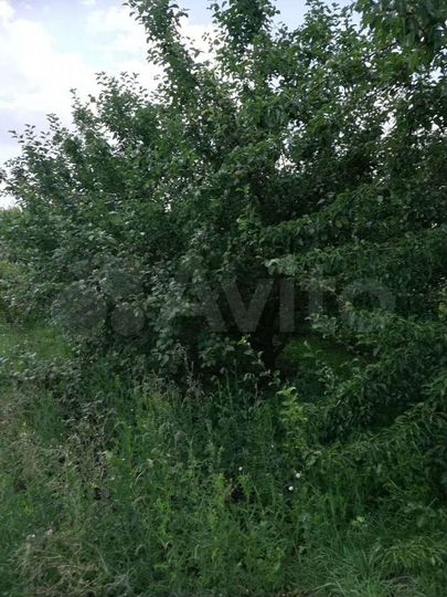 Дом 68,2 м² на участке 50 сот.