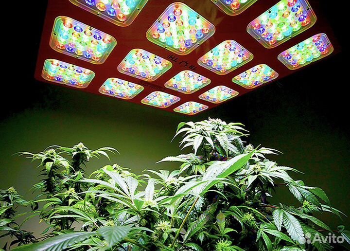 Лампы днат дрл Накаливания