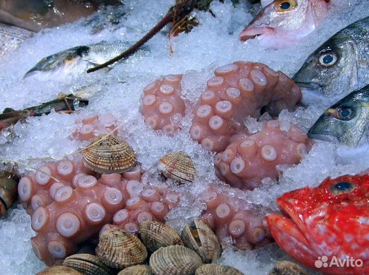 Готовый бизнес: магазин рыбы