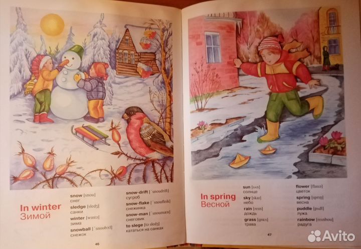 Книга Английский язык в картинках