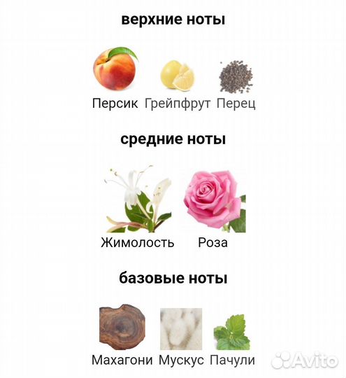 Burberry London special edition