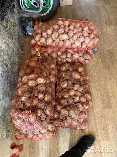 Картошка с огорода Не с поля