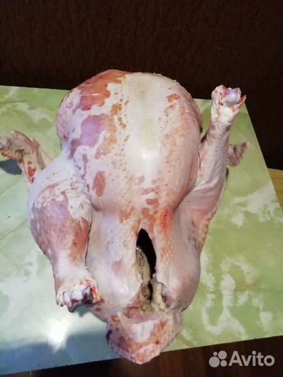 Мясо (куры, утки, гуси, индюки)