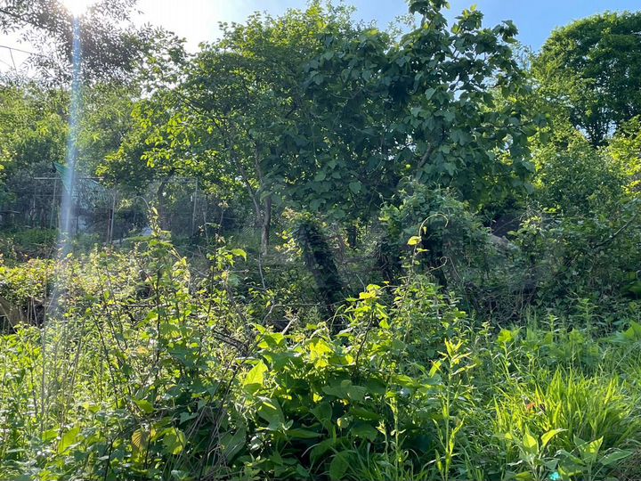 Участок 5,5 сот. (СНТ, ДНП)