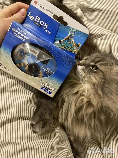 Пленочный фотоаппарат Зенит ет