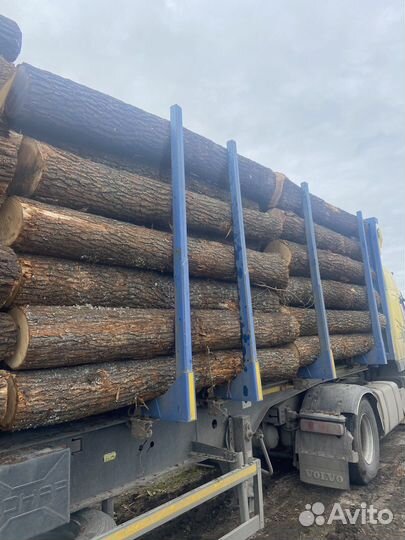 Дуб, кругляк, доска, ясень