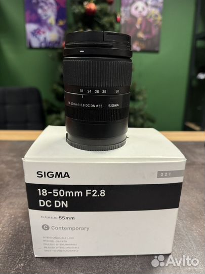 Sigma 18- 50 2.8 sony e