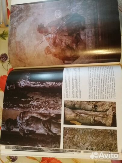 Наука и человечество 1978, 1979, 1982 книги