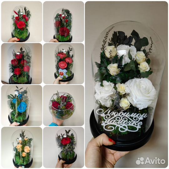 Живые цветы в колбе стекле, подарок, флорариум, от