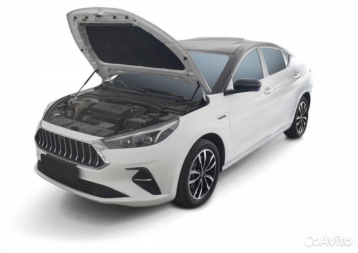 Газовые упоры капота JAC J7 I 2020