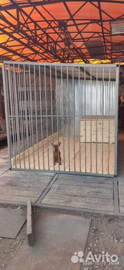 Вольер 2 на 3 м