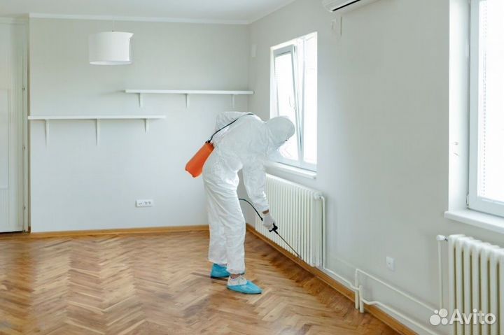 Дезинфекция