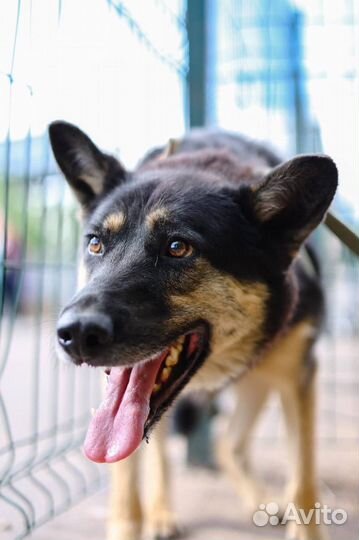 Я тоже хочу жить дома