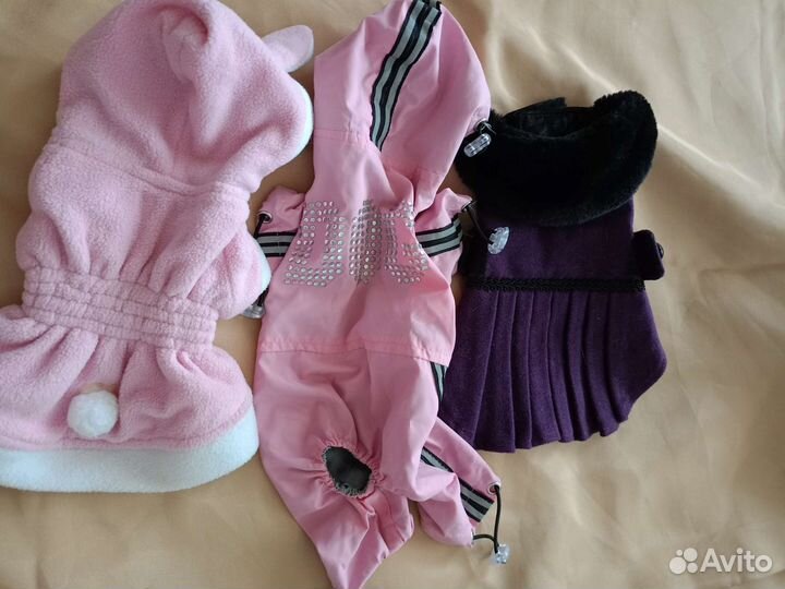 Одежда для маленьких собак xs