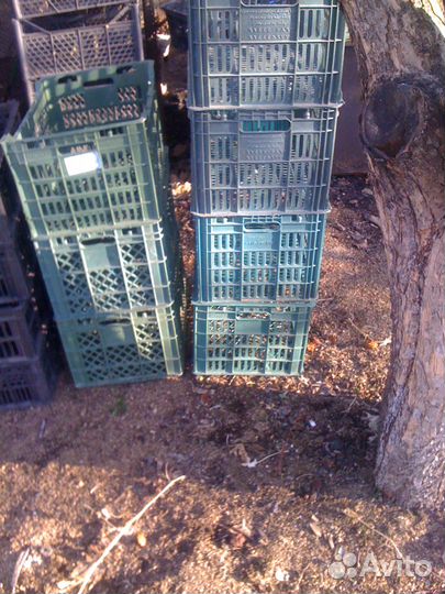 Продам ящики пластиковые, крепкие