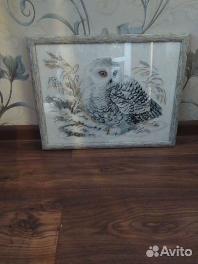 Сова полярная