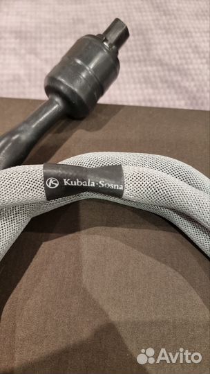 Kubala-sosna fascination 2m